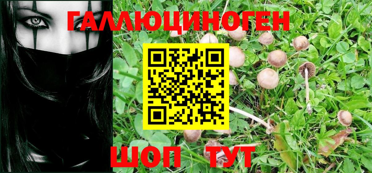 Галлюциногенные грибы Cubensis  Вход с VPN  Канск 
